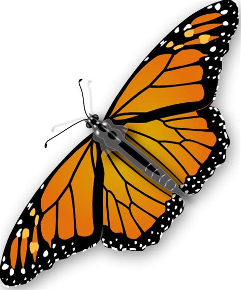 Butterfly Clip Art at Clker.com - vector clip art online, royalty free ...