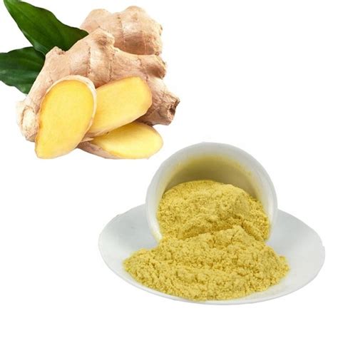 Ginger Extract Powder at Rs 1500/kg | Herbal Extracts in Bengaluru | ID ...