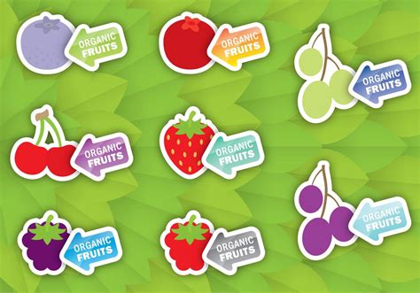 Fruit Labels 94038 Vector Art at Vecteezy