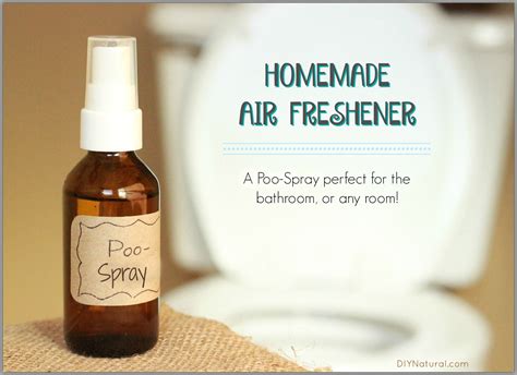 Homemade Air Freshener: A Natural Air Freshener and Poo Spray