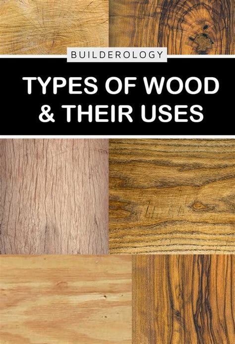 Different Types of Wood & Their Uses | Wood Supply Research Institute