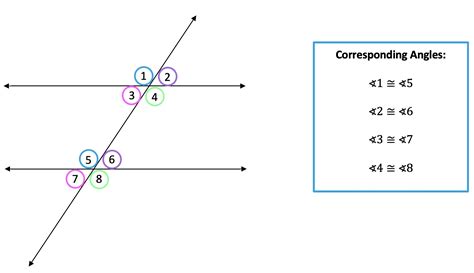 Parallel Lines Cut By A Transversal Pdf