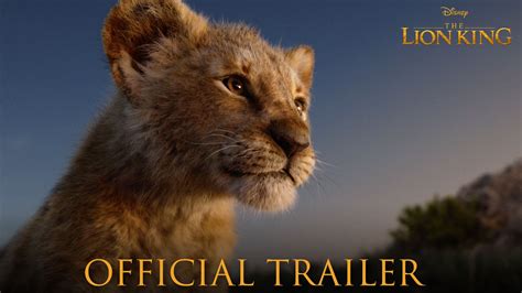 Warrior Cats Movie Trailer