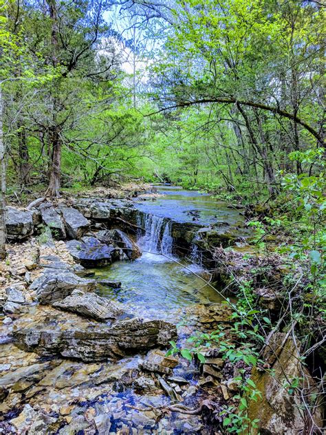 Hercules Glades Wilderness in the Mark Twain National Forest #hiking # ...