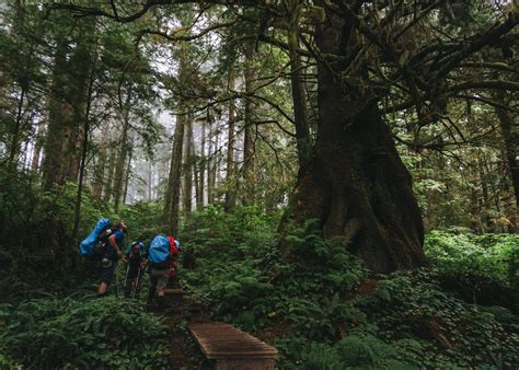 Hiking the West Coast Trail — Kat Knox