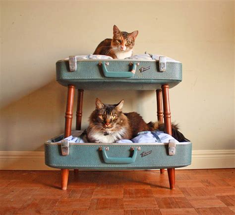 This Suitcase Cat Bunk Bed Is a Brilliant Way To Re-purpose Your Old ...