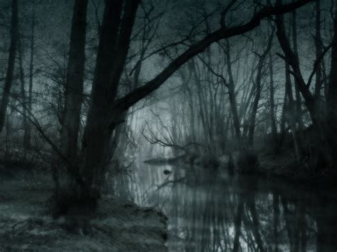 Dark Swamp (#2521119) - HD Wallpaper & Backgrounds Download