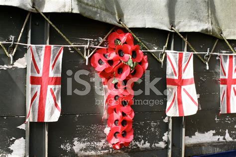 Remembrance Day Stock Photo | Royalty-Free | FreeImages