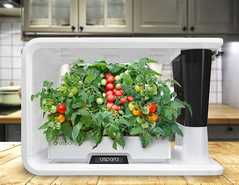 Top 10 Best Hydroponic Herb Gardens in 2020 Reviews | Buyer's Guide