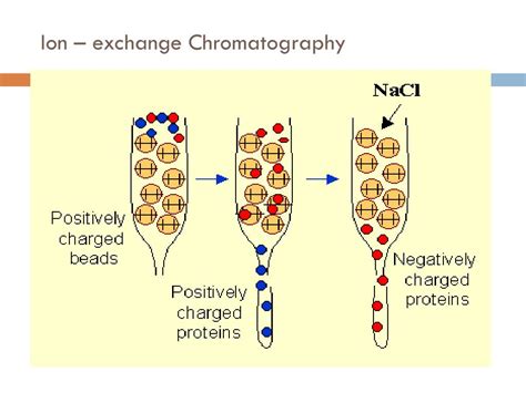 What Is Ion Exchange Chromatography - Design Talk