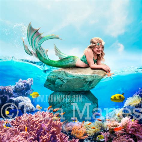 Mermaid Rock in Ocean with Fish - Underwater Mermaid Rock - Beautiful ...