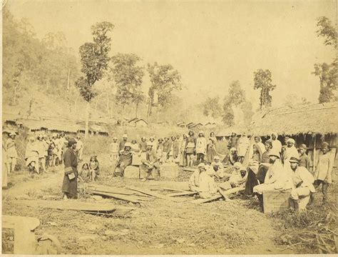 old Darjeeling Tea Estate | Darjeeling, Tea history, Tea estate