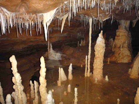 2: Stalagmites and stalactites in Cussac cave, France. | Download High ...