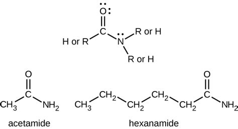 Amine Vs Amide Structure