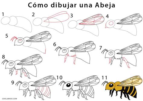 Dibujos Faciles Para Aprender Dibujar Abeja Maya 2 | Porn Sex Picture