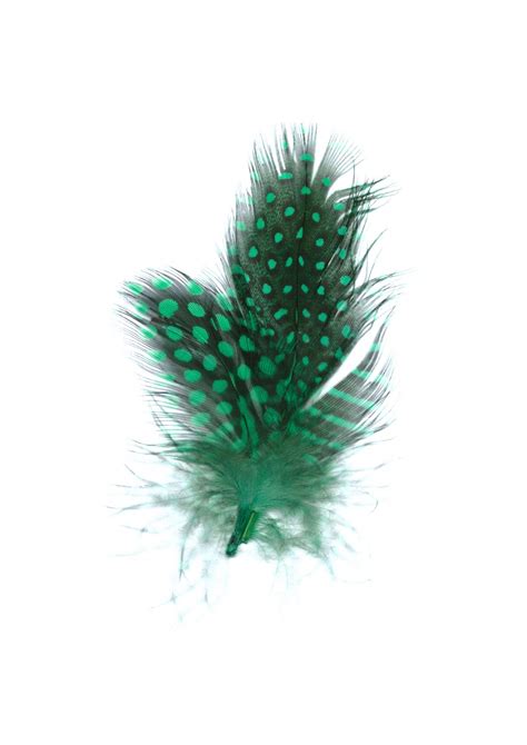 Guinea Hen Feathers (Green) - artpistol