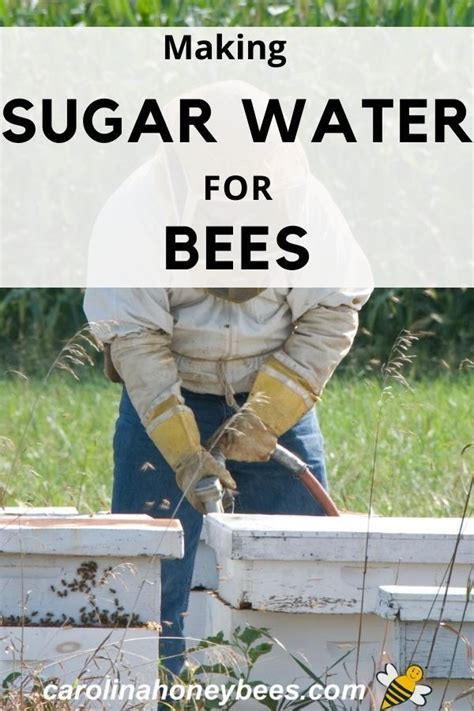 Feeding Bees Sugar Water- A Complete Guide - Carolina Honeybees | Water ...