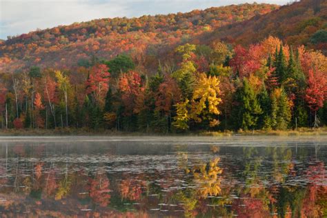 Why Do Leaves Change Colors in Autumn? - Green Mountain Club