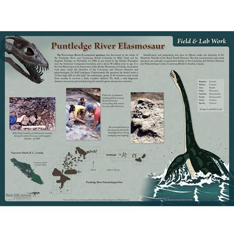 Elasmosaurus sp. PUNTLEDGE RIVER – Field and Lab Poster – Media Display ...