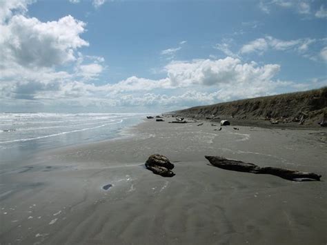 Foxton Beach - 2021 Alles wat u moet weten VOORDAT je gaat - Tripadvisor