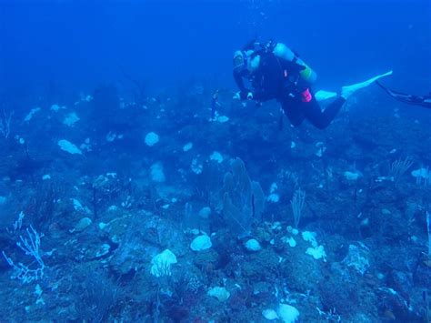 2023 Caribbean National Coral Reef Monitoring Program Sampling Missions ...