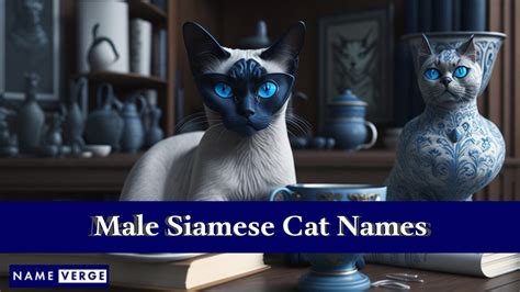 Siamese Cat Names: 399+ Best Names For Siamese Cats