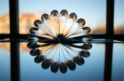 Reflection Photography Ideas