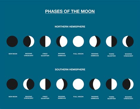 Full Moon | Facts, Information, History & Definition