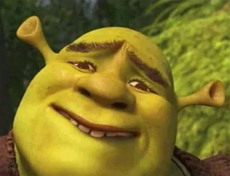 Shrek Meme Face | anthonyguy