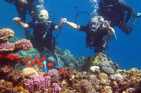 Sharm El-Sheikh: Scuba Dive Introduction from the Shore | GetYourGuide