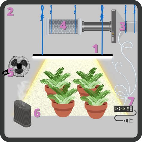 Best indoor grow setup for cannabis - Evergrown Cultivation