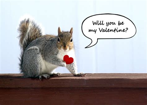 Will you be my Valentine card - Squirrel holding red heart greeting ...