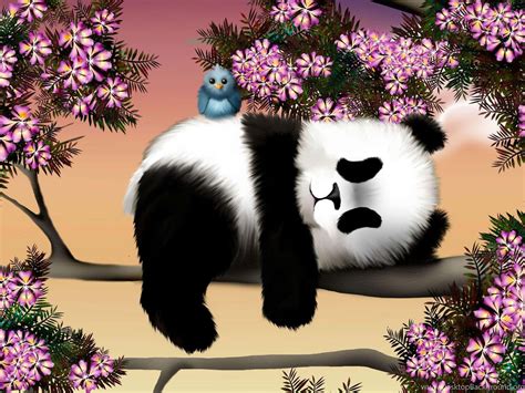 [100+] Panda Laptop Wallpapers | Wallpapers.com