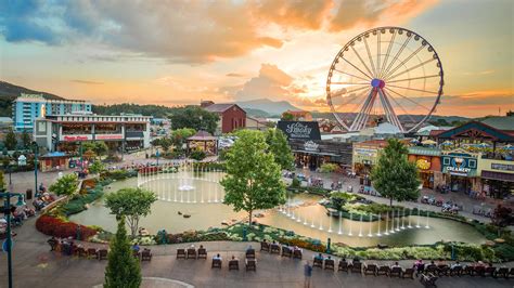 Home | Margaritaville Island Hotel Pigeon Forge