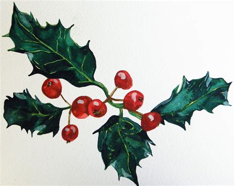 Holly Berries Drawing at GetDrawings | Free download