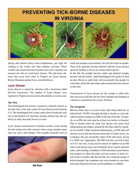 Preventing tick-borne disease in Virginia