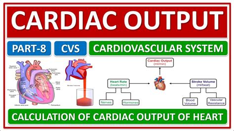 Journal Of Cardiology Cardiovascular Surgery, 48% OFF