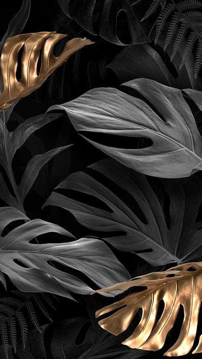 Monstera Wallpaper Iphone Background Images | Free Photos, PNG Stickers ...