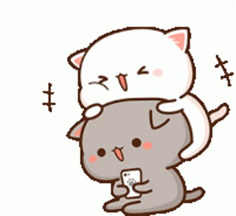 Cute Animated Cat Gif