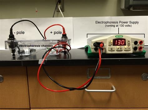 B- Electrophoresis Apparatus