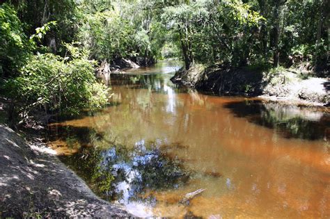 Hillsborough To Begin Reopening Some Conservation Parks, Preserves ...