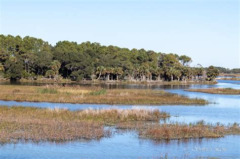 Cape Romain National Wildlife Refuge, SC – Sylvie's Adventures