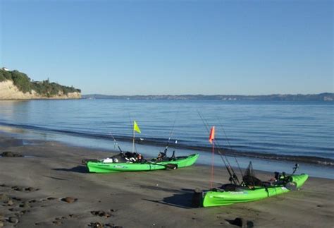 8 Things to Do in Whangaparaoa That You Shouldn't Miss