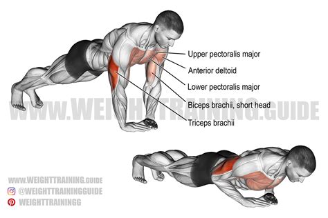 Diamond push-up exercise instructions and video | Weight Training Guide