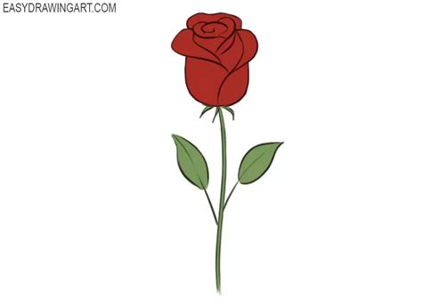 Discover 152+ easy drawing of rose flower best - vietkidsiq.edu.vn