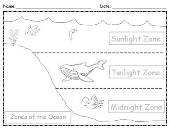 Ocean Zones Labeling (Elementary) - Worksheets Library