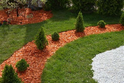 Wood Chip Mulch Pros and Cons