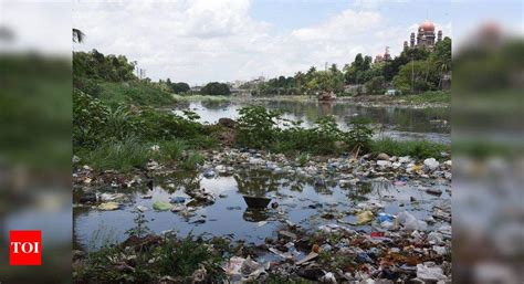 Telangana high court slams state government over Musi river pollution ...