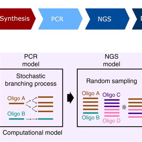 A DNA storage system model a Workflow of DNA data storage. Digital ...