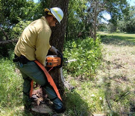 Chainsaw Chaps. Tips from a Professional – Garden Tool Expert Store